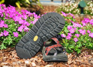 Do Your Chacos Stink? - Foot Notes - Independent Sole